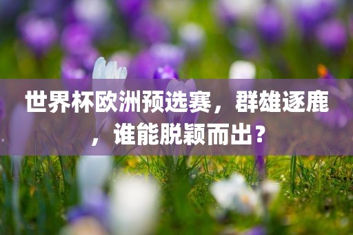 世界杯欧洲预选赛，群雄逐鹿，谁能脱颖而出？