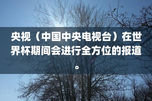 央视（中国中央电视台）在世界杯期间会进行全方位的报道。