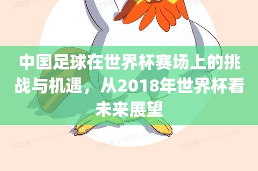 中国足球在世界杯赛场上的挑战与机遇，从2018年世界杯看未来展望