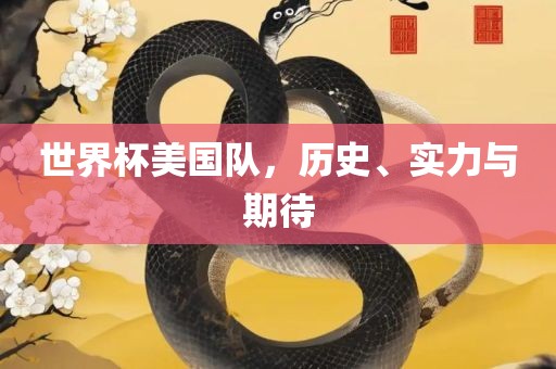 世界杯美国队，历史、实力与期待