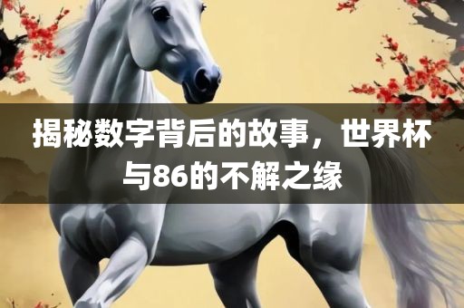 揭秘数字背后的故事，世界杯与86的不解之缘