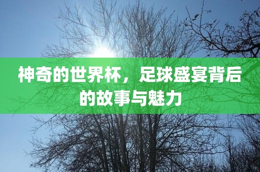 神奇的世界杯，足球盛宴背后的故事与魅力
