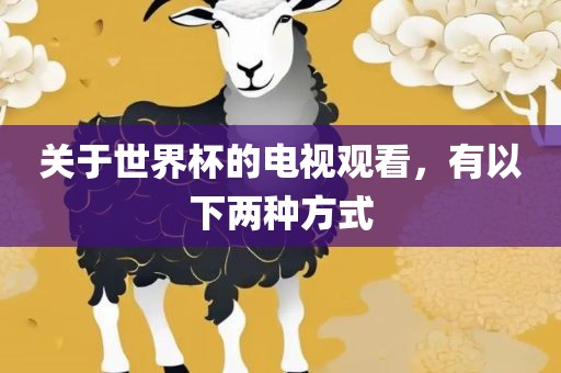关于世界杯的电视观看，有以下两种方式