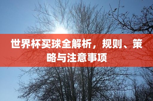 世界杯买球全解析，规则、策略与注意事项