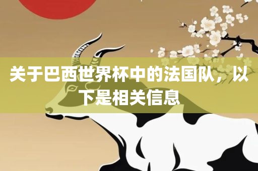 关于巴西世界杯中的法国队，以下是相关信息