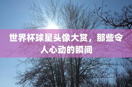 世界杯球星头像大赏，那些令人心动的瞬间