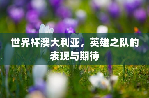 世界杯澳大利亚，英雄之队的表现与期待