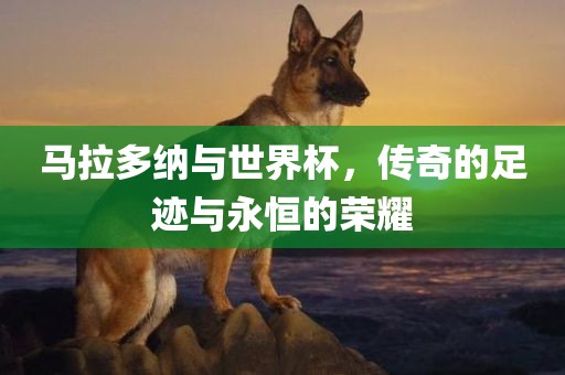 马拉多纳与世界杯，传奇的足迹与永恒的荣耀
