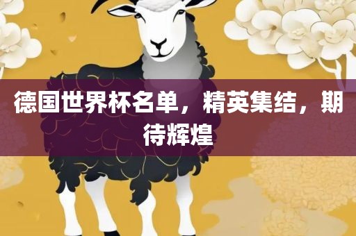 德国世界杯名单，精英集结，期待辉煌