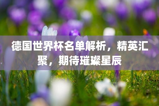 德国世界杯名单解析，精英汇聚，期待璀璨星辰