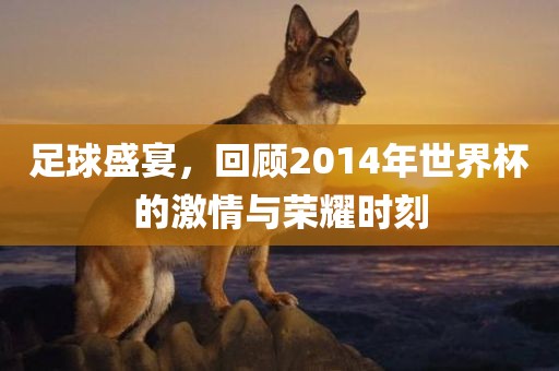 足球盛宴，回顾2014年世界杯的激情与荣耀时刻