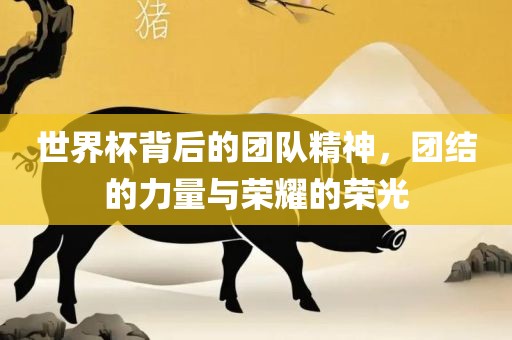世界杯背后的团队精神，团结的力量与荣耀的荣光