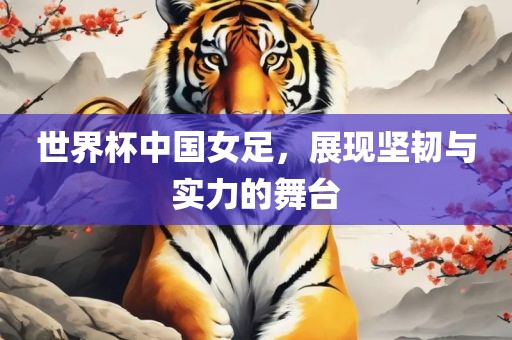 世界杯中国女足，展现坚韧与实力的舞台