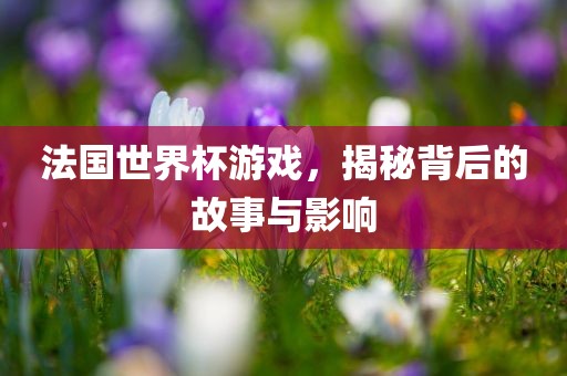 法国世界杯游戏，揭秘背后的故事与影响