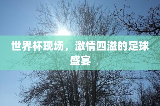 世界杯现场，激情四溢的足球盛宴