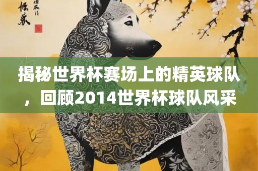 揭秘世界杯赛场上的精英球队，回顾2014世界杯球队风采