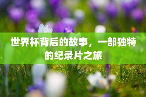 世界杯背后的故事，一部独特的纪录片之旅
