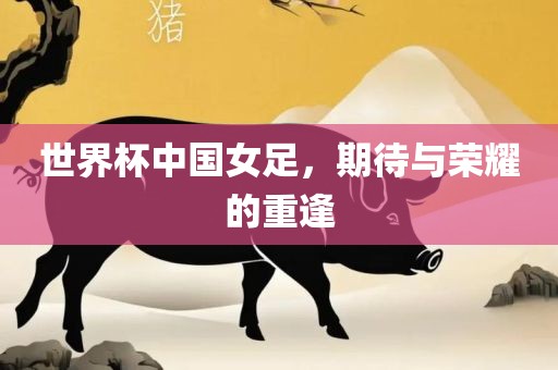 世界杯中国女足，期待与荣耀的重逢