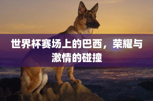 世界杯赛场上的巴西，荣耀与激情的碰撞