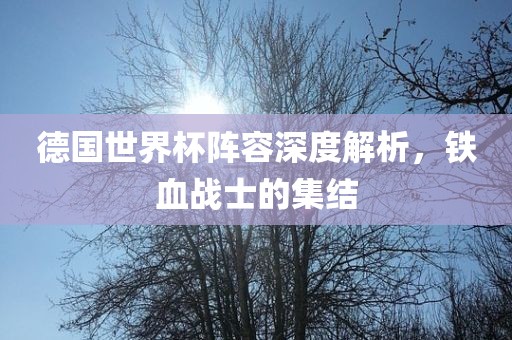 德国世界杯阵容深度解析，铁血战士的集结