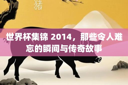 世界杯集锦 2014，那些令人难忘的瞬间与传奇故事