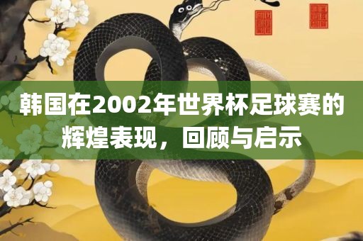 韩国在2002年世界杯足球赛的辉煌表现，回顾与启示