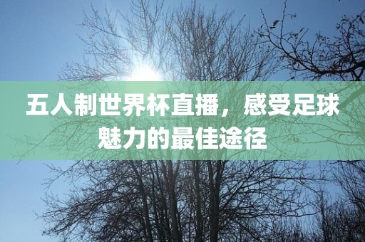 五人制世界杯直播，感受足球魅力的最佳途径
