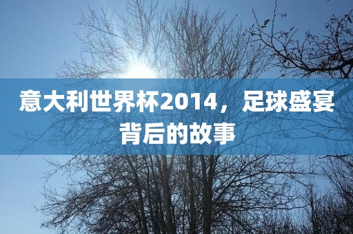 意大利世界杯2014，足球盛宴背后的故事
