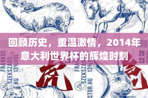 回顾历史，重温激情，2014年意大利世界杯的辉煌时刻眉山市正发家政服务有限公司