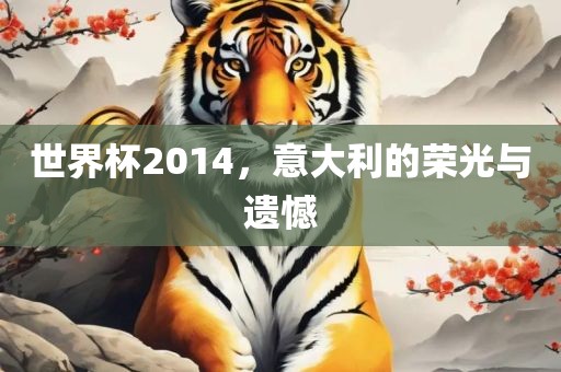 世界杯2014，意大利的荣光与遗憾