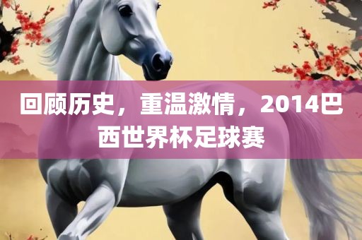 回顾历史，重温激情，2014巴西世界杯足球赛