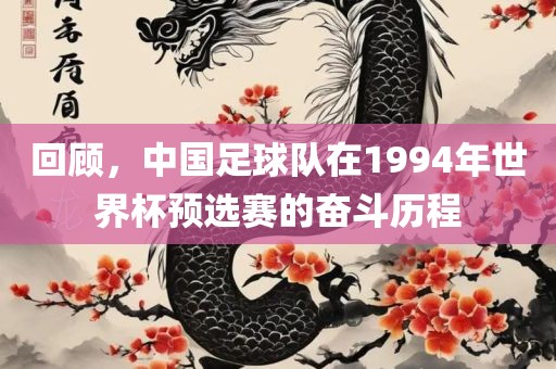 回顾，中国足球队在1994年世界杯预选赛的奋斗历程