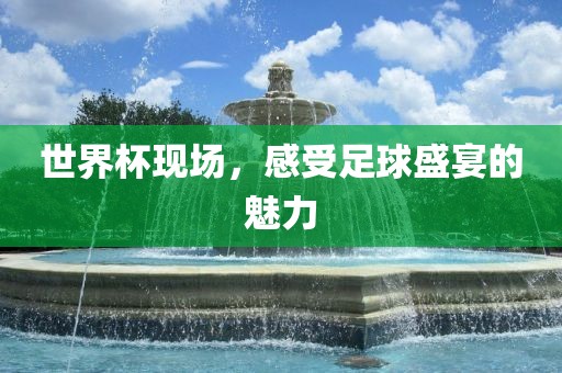 世界杯现场，感受足球盛宴的魅力