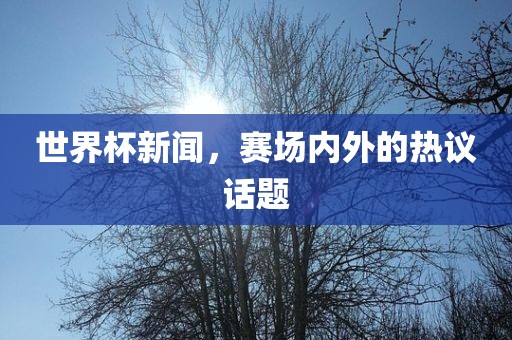世界杯新闻，赛场内外的热议话题