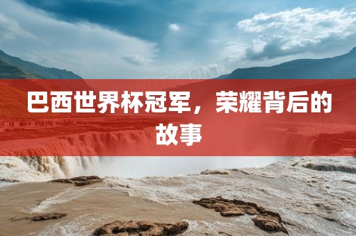 巴西世界杯冠军，荣耀背后的故事