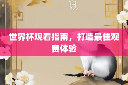 世界杯观看指南，打造最佳观赛体验