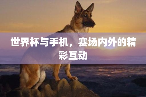 世界杯与手机，赛场内外的精彩互动