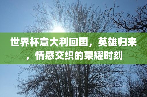 世界杯意大利回国，英雄归来，情感交织的荣耀时刻