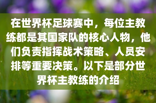 在世界杯足球赛中，每位主教练都是其国家队的核心人物，他们负责指挥战术策略、人员安排等重要决策。以下是部分世界杯主教练的介绍