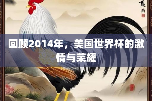 回顾2014年，美国世界杯的激情与荣耀