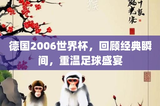 德国2006世界杯，回顾经典瞬间，重温足球盛宴
