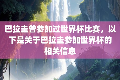 巴拉圭曾参加过世界杯比赛，以下是关于巴拉圭参加世界杯的相关信息