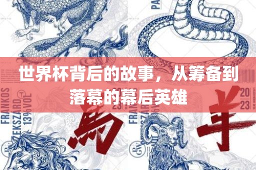 世界杯背后的故事，从筹备到落幕的幕后英雄眉山市正发家政服务有限公司