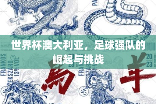 世界杯澳大利亚，足球强队的崛起与挑战