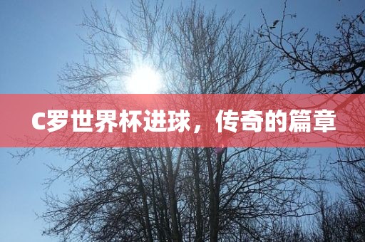 C罗世界杯进球，传奇的篇章