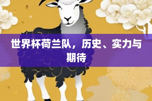 世界杯荷兰队，历史、实力与期待