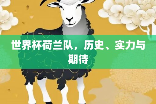世界杯荷兰队，历史、实力与期待