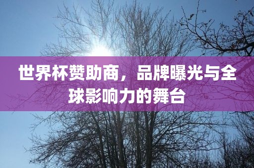 世界杯赞助商，品牌曝光与全球影响力的舞台