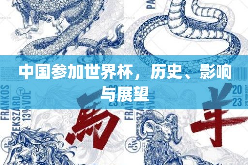 中国参加世界杯，历史、影响与展望