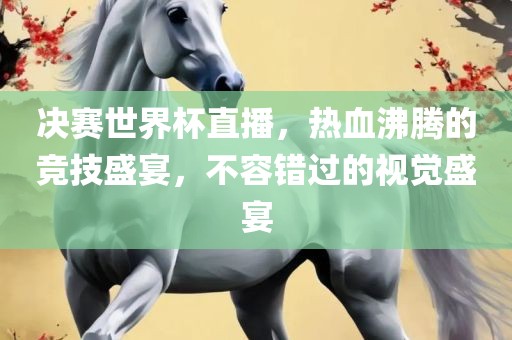 决赛世眉山市正发家政服务有限公司界杯直播，热血沸腾的竞技盛宴，不容错过的视觉盛宴
